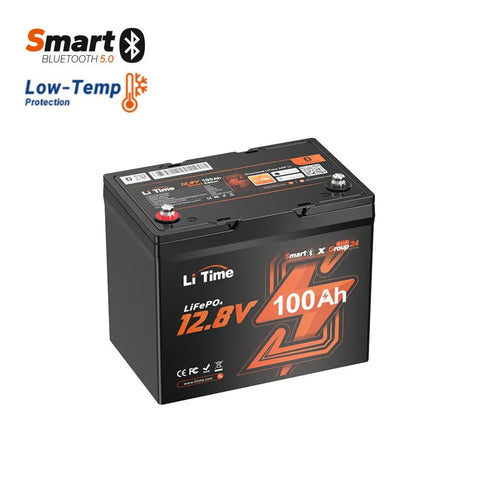 12V 100Ah Group 24 Batterie