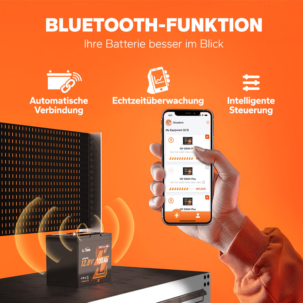 12V 100Ah Batterie mit Bluetooth-Funktion