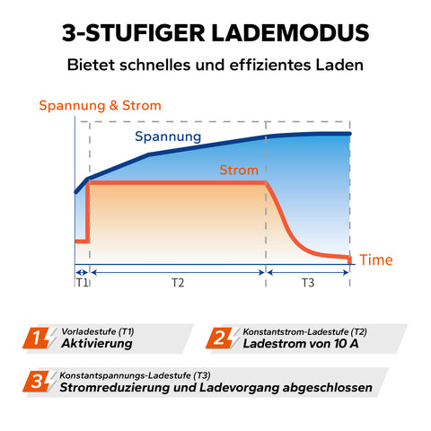 LiTime 14.6V 10A Lithium Batterieladegerät für 12V LiFePO4 Lithium Batterie